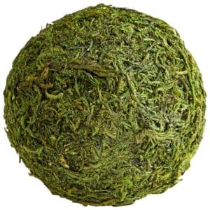 Bermuda Sphere | Green Moss - Small