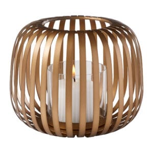 Liny Hurricane | Gold - Medium