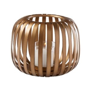 Liny Hurricane | Gold - Small