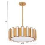 Cyan Dims HPO24 – 11950_4