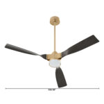 Cyan Dims HPO24 – 11981_2