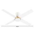 Cyan Dims HPO24 – 11983_4