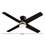 Cyan Dims HPO24 – 11984_2