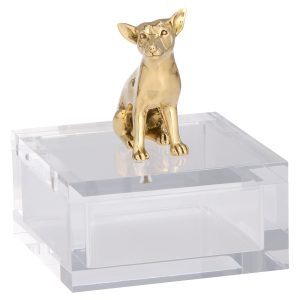 Lago Box | Clear | Brass